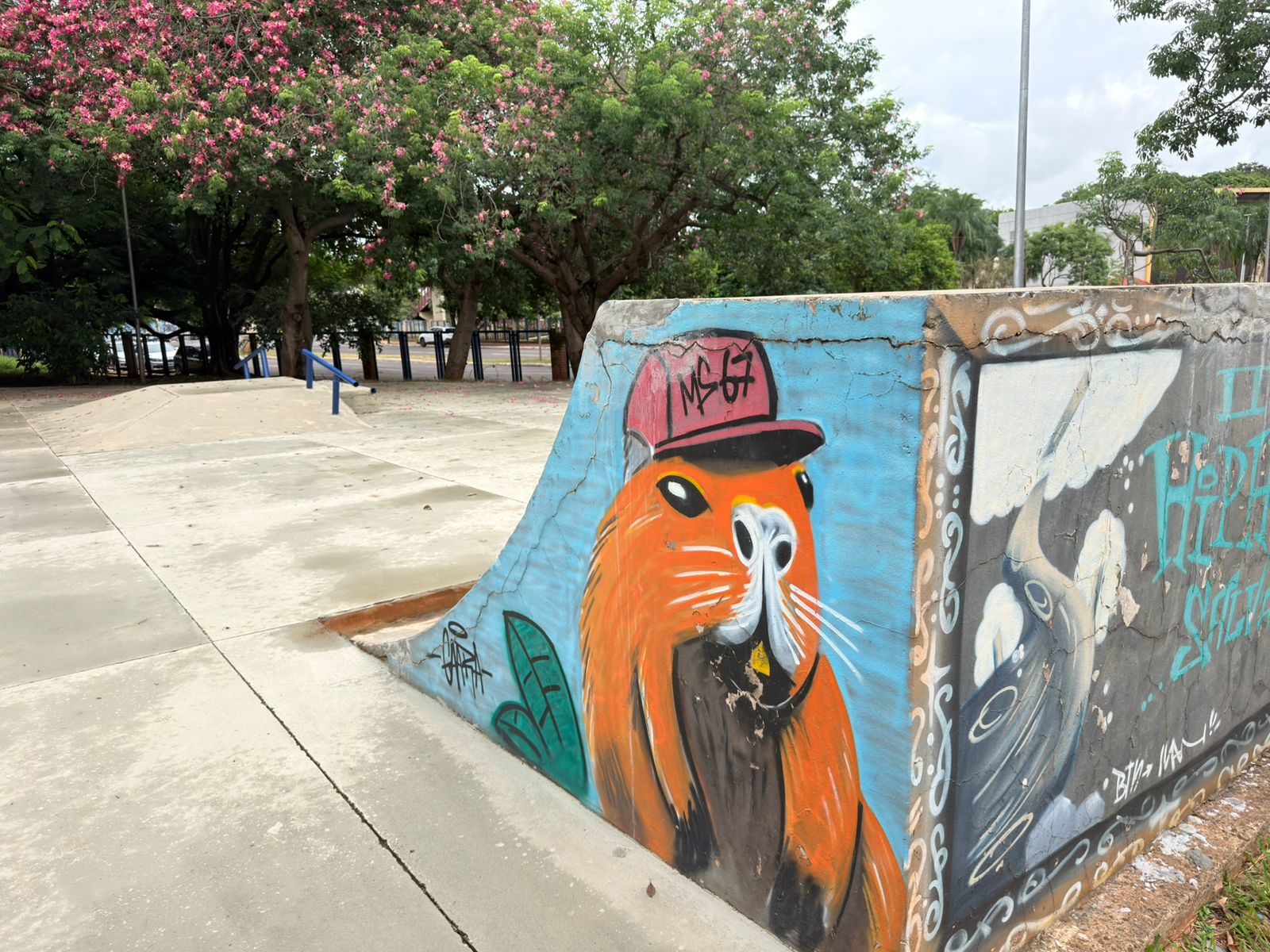 Reparos na pista de skate do Horto são concluído