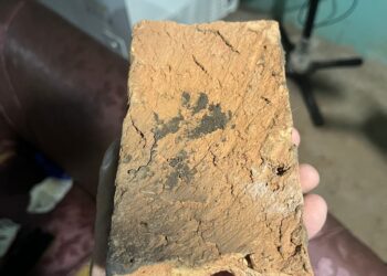 Cansada de apanhar, mulher mata companheiro a tijoladas