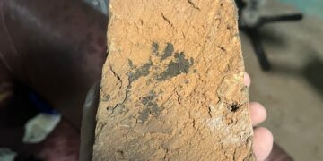 Cansada de apanhar, mulher mata companheiro a tijoladas
