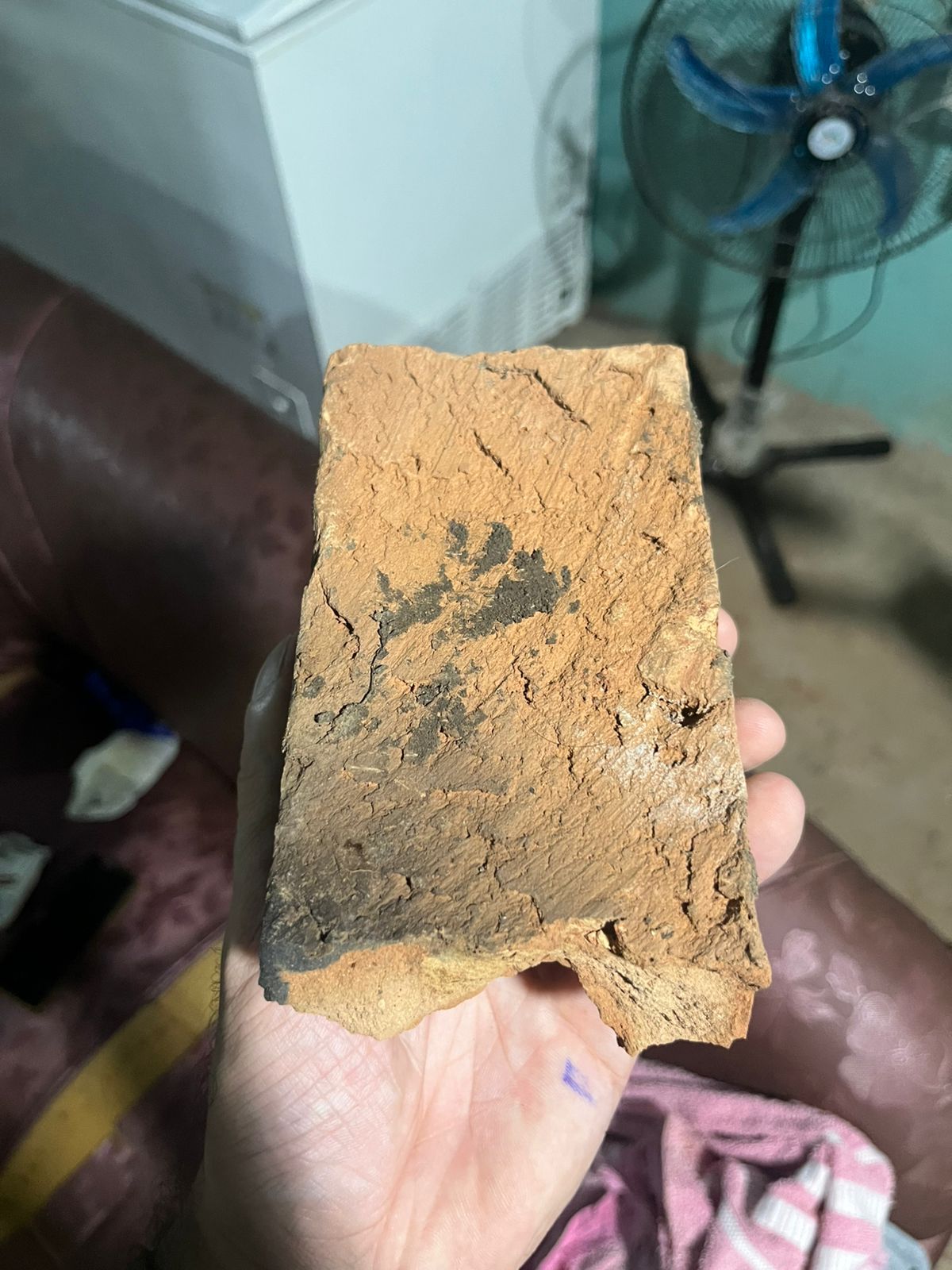 Cansada de apanhar, mulher mata companheiro a tijoladas