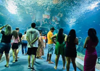 Bioparque Pantanal faz 4 anos e ganha destaque global