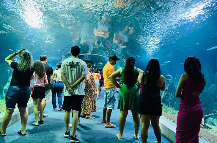 Bioparque Pantanal faz 4 anos e ganha destaque global