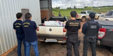 Operação Purgatio combate contrabando de agrotóxicos em MS