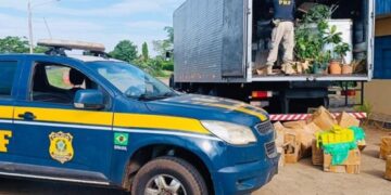Caminhão carregado com mais de 1,5 tonelada de maconha é interceptado pela PRF