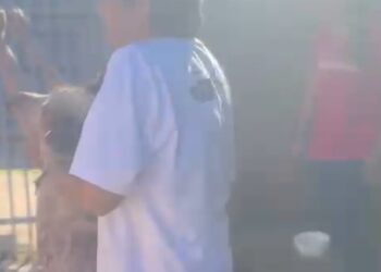 Cão é resgatado de situação cruel após dias sem água e comida