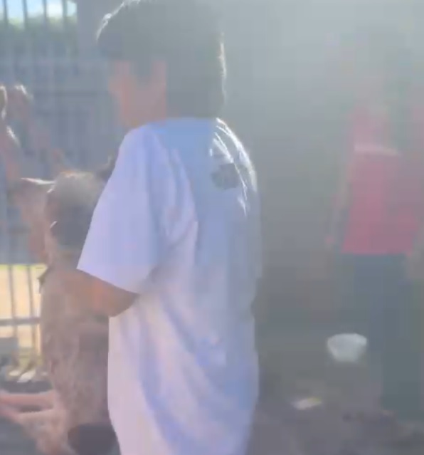 Cão é resgatado de situação cruel após dias sem água e comida