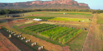 Lei: Publicação inclui Pantanal Tech MS no Calendário Oficial de Eventos