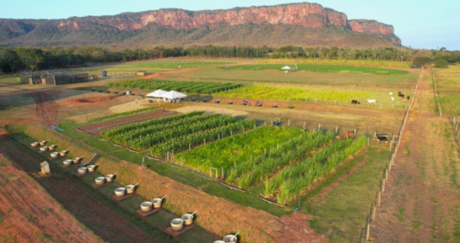 Lei: Publicação inclui Pantanal Tech MS no Calendário Oficial de Eventos
