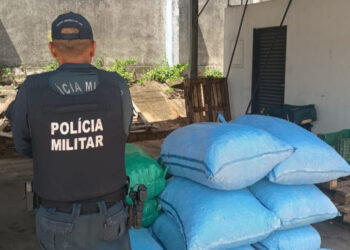 Carga de batata e produto boliviano irregular é apreendida em Corumbá