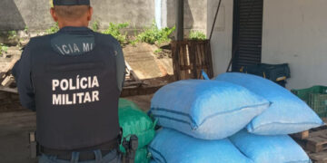 Carga de batata e produto boliviano irregular é apreendida em Corumbá