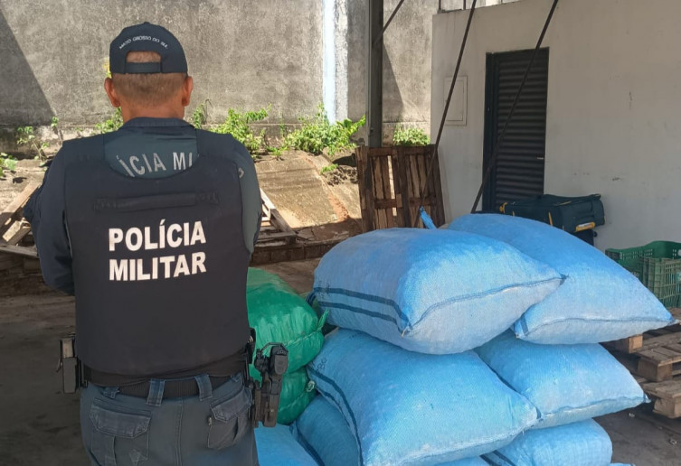 Carga de batata e produto boliviano irregular é apreendida em Corumbá