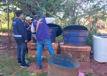 MS intensifica combate à chikungunya com leitos, fumacê e ações integradas MS intensifica combate à chikungunya com leitos, fumacê e ações integradas