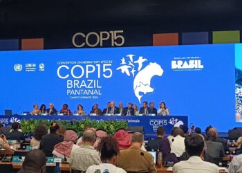Primeira vez no Brasil:  Fiems participa de abertura de COP15 em Campo Grande