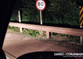 Família flagra onça-pintada às margens da BR-262 durante viagem ao Pantanal