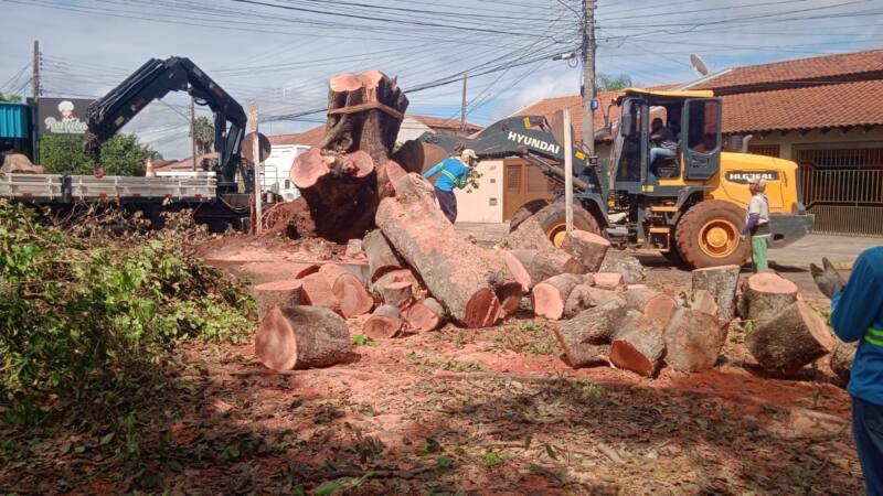 Papy apresenta mais de 40 indicações em fevereiro para melhorias em todas as regiões da Capital