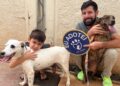 Prefeitura promove feira de adoção com cães resgatados de maus-tratos 