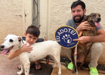 Prefeitura promove feira de adoção com cães resgatados de maus-tratos 