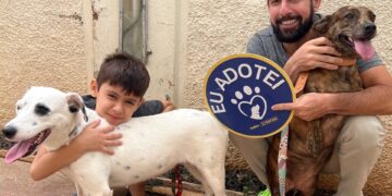 Prefeitura promove feira de adoção com cães resgatados de maus-tratos 