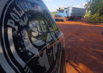 Olha o Gado! Rebanho furtado é recuperado e suspeito preso em flagrante Olha o Gado! Rebanho furtado é recuperado e suspeito preso em flagrante