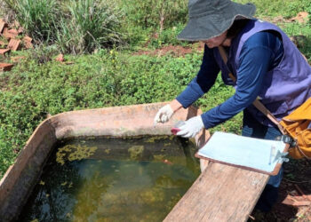Casos de chikungunya avançam em Dourados e prefeitura avalia decretar emergência