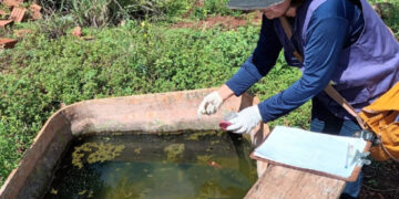 Casos de chikungunya avançam em Dourados e prefeitura avalia decretar emergência