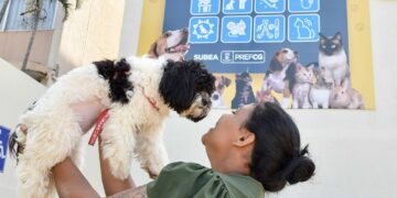 Ação sobre conscientização de bem-estar animal acontece na Expogrande