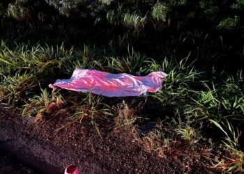 Tragédia na BR-376: motociclista morre após ser atingido por carro