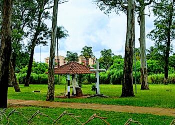 Mais cultura: sábado tem nova edição da Feira Ziriguidum