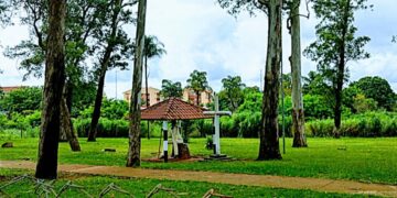 Mais cultura: sábado tem nova edição da Feira Ziriguidum