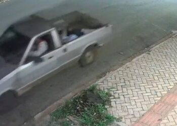 Nem o leão escapou: estátua é levada de hamburgueria “famosa” de CG