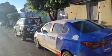 Mulher é presa após cão morrer em casa com infestação de carrapatos