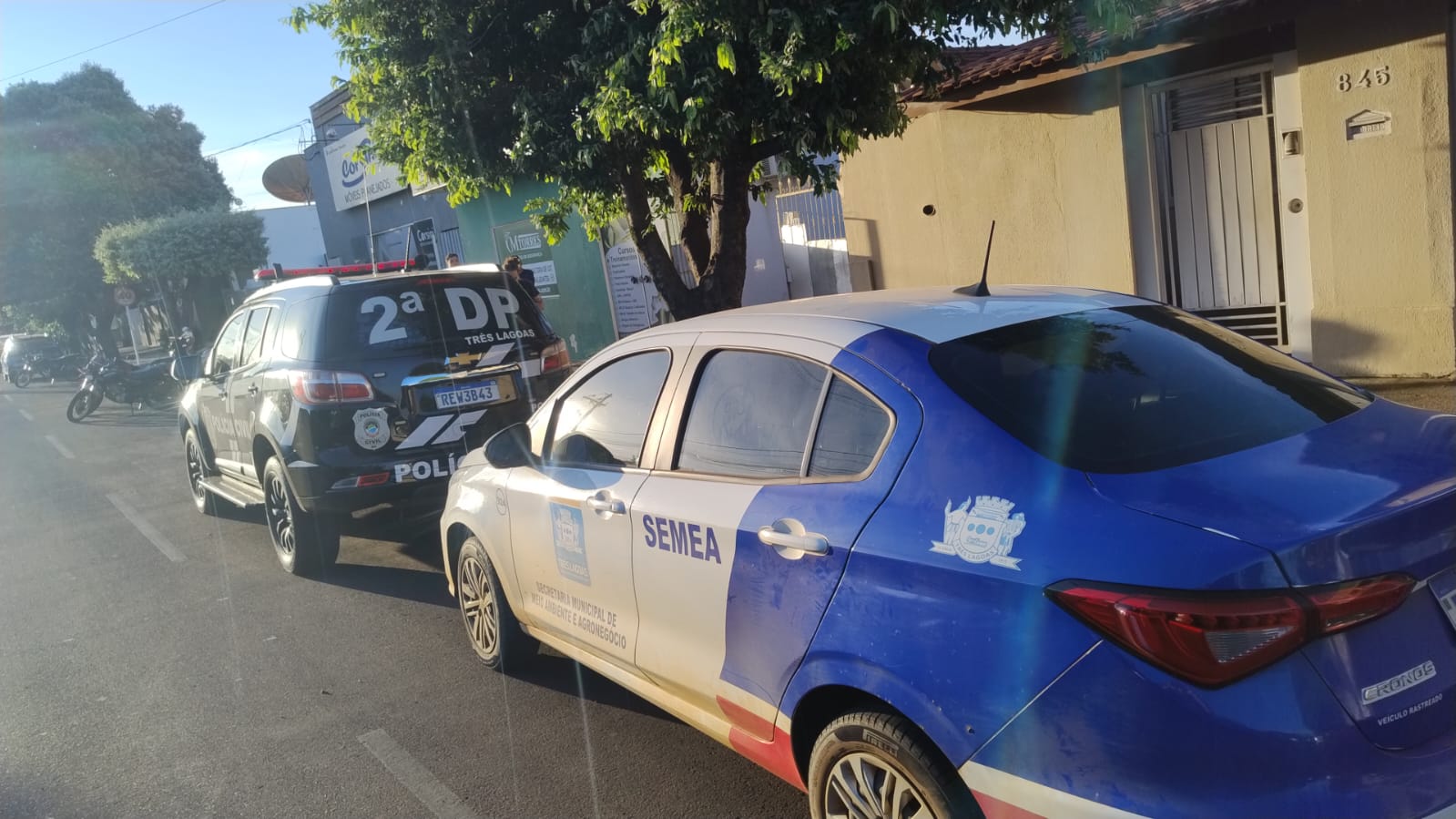 Mulher é presa após cão morrer em casa com infestação de carrapatos