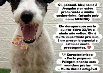 “Ela é o único presente que tenho”, Joaquim faz apelo para achar Menina, cachorrinha perdida no Leblon