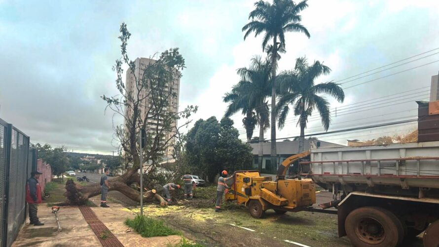 Sisep intensifica ações de limpeza e drenagem após chuva intensa