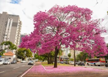 Semana começa sob ar seco, calor em alta e ventos intensos em MS