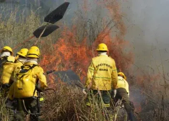 Ibama autoriza reforço com mais de 2,2 mil brigadistas temporários para atuação em 2026