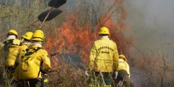 Ibama autoriza reforço com mais de 2,2 mil brigadistas temporários para atuação em 2026