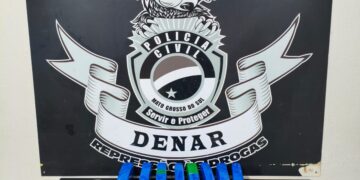 Esquema do tráfico pelos Correios é interceptado e polícia apreende 13 kg de maconha