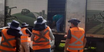 MS reforça combate à chikungunya com integração entre Estado, municípios e Defesa Civil