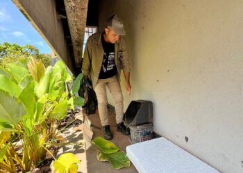 Chikungunya avança em MS com mais de 2 mil casos confirmados e 10 mortes