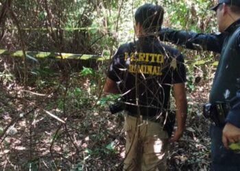 Trabalhador é encontrado morto em fazenda e suspeita é de ataque de Javali