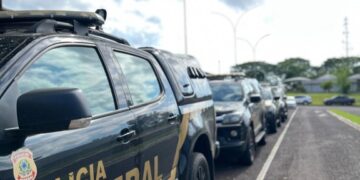 Polícia Federal apreende 52 kg de skunk em transportadora de Campo Grande