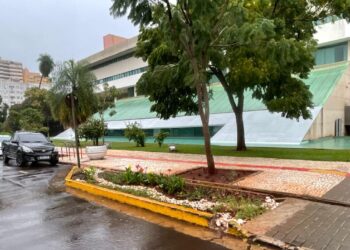 Jardim de chuva marca novo modelo de drenagem sustentável