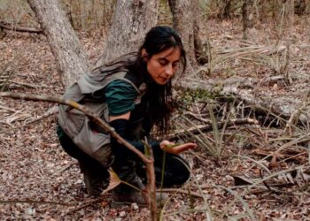 UFMS no topo do mundo: professora de MS vence prêmio internacional e avança em pesquisa sobre clima