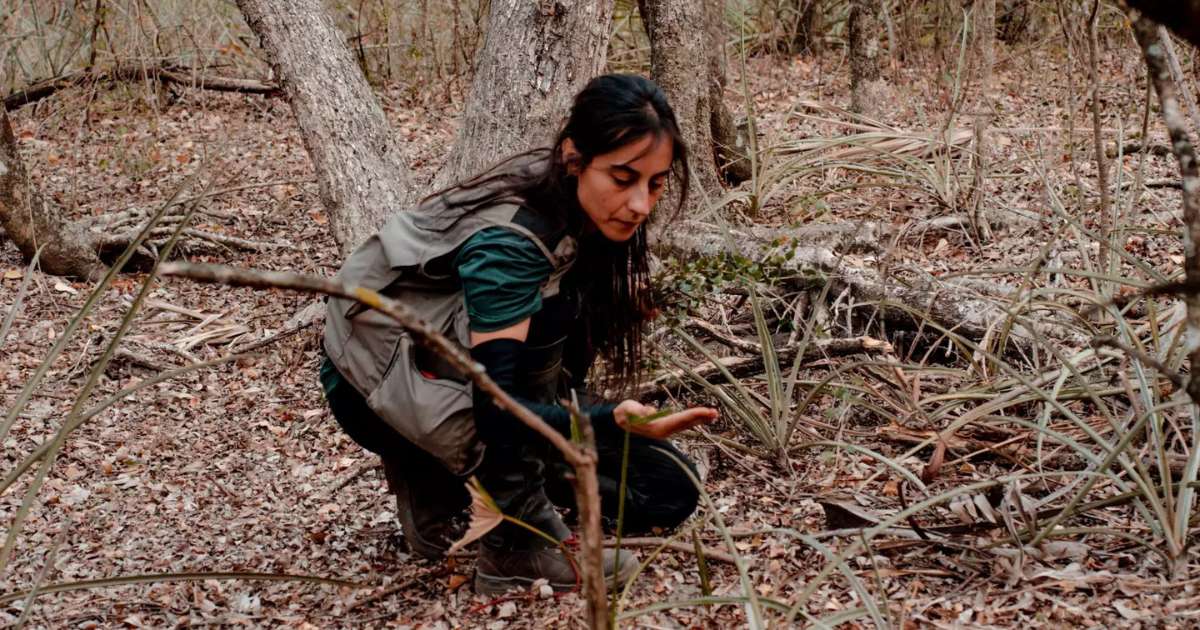 UFMS no topo do mundo: professora de MS vence prêmio internacional e avança em pesquisa sobre clima