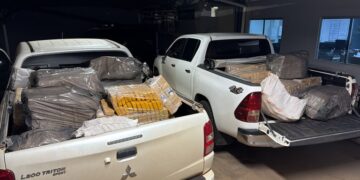 Denúncia anônima leva agentes a depósito clandestino com grande quantidade de drogas