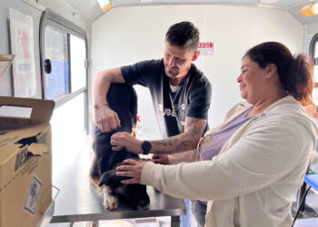 Com mais de 11 mil microchipagens, tecnologia amplia proteção aos pets