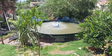 Tanque sustentável muda rotina de mulheres isqueiras no Pantanal