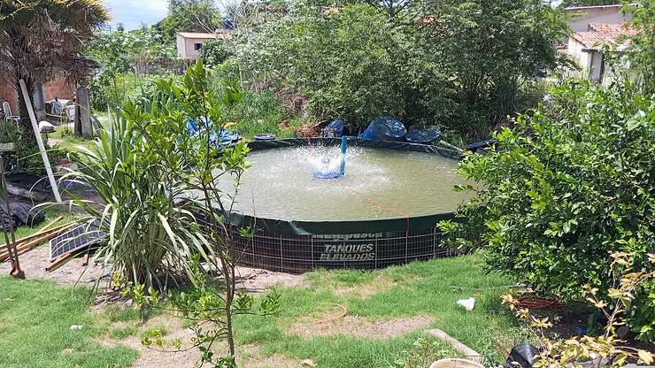 Tanque sustentável muda rotina de mulheres isqueiras no Pantanal
