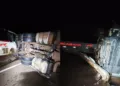 Batida entre ônibus e caminhão com gado deixa feridos e interdita BR-262